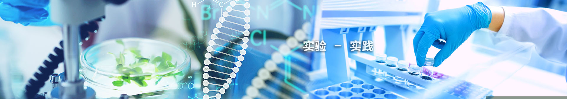 qy球友会千亿官网